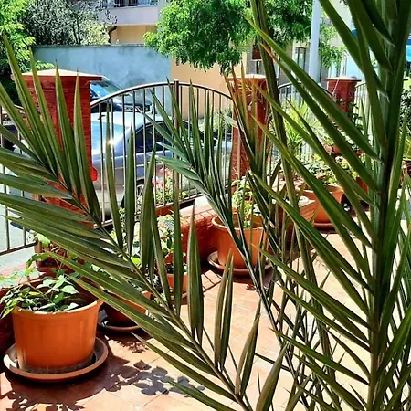 Adri 2* ネセバル